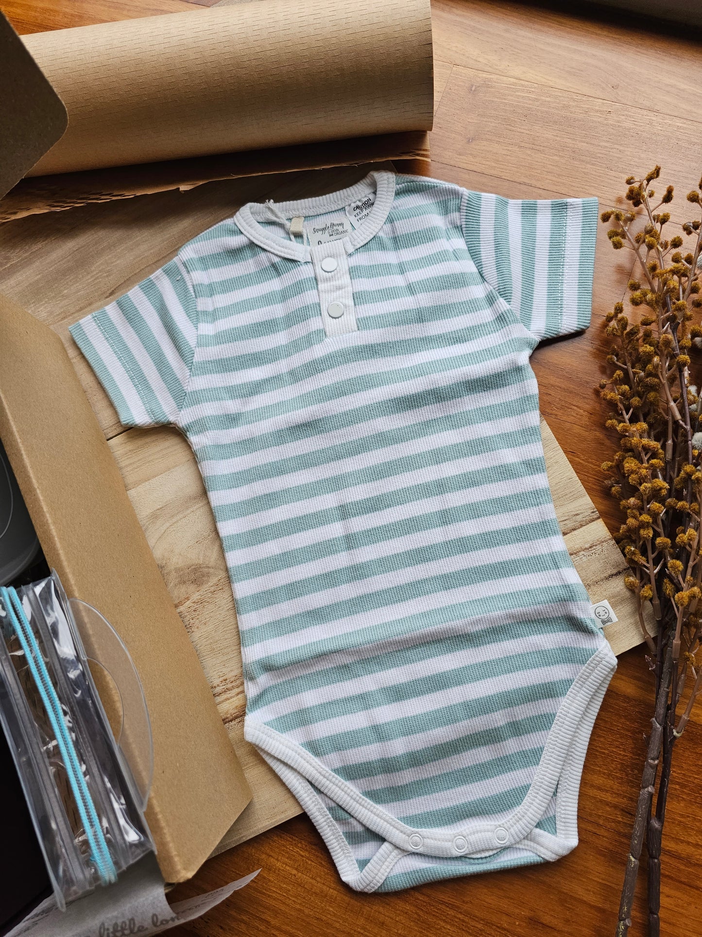 My First Meal! (Green)