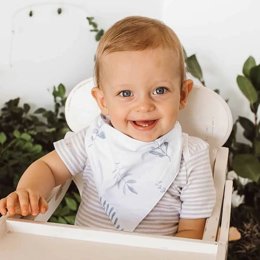 Organic Dribble Bib (Wild Fern)