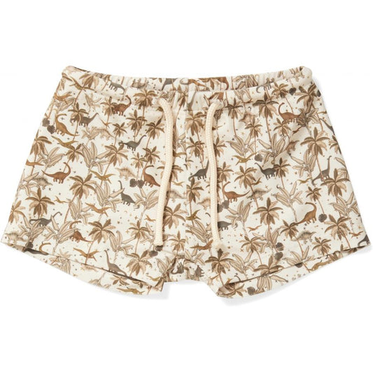 Aster Unisex Swim Pants - Dino (12m)