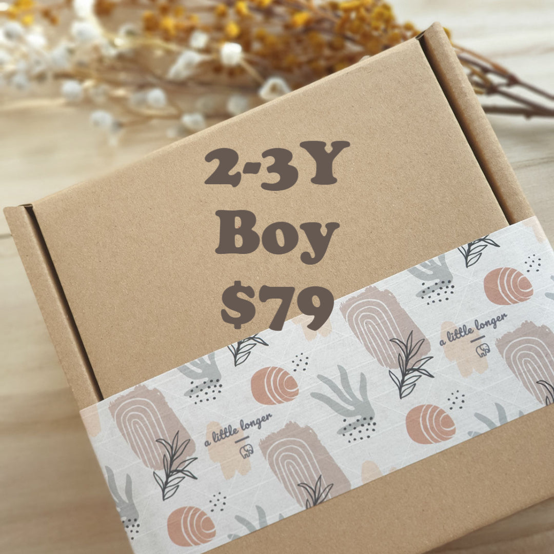 Surprise Me! (2-3Y Boy Apparel Bundle) - $79
