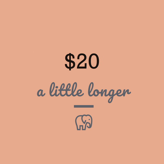 $20 A Little Longer E-Gift Card