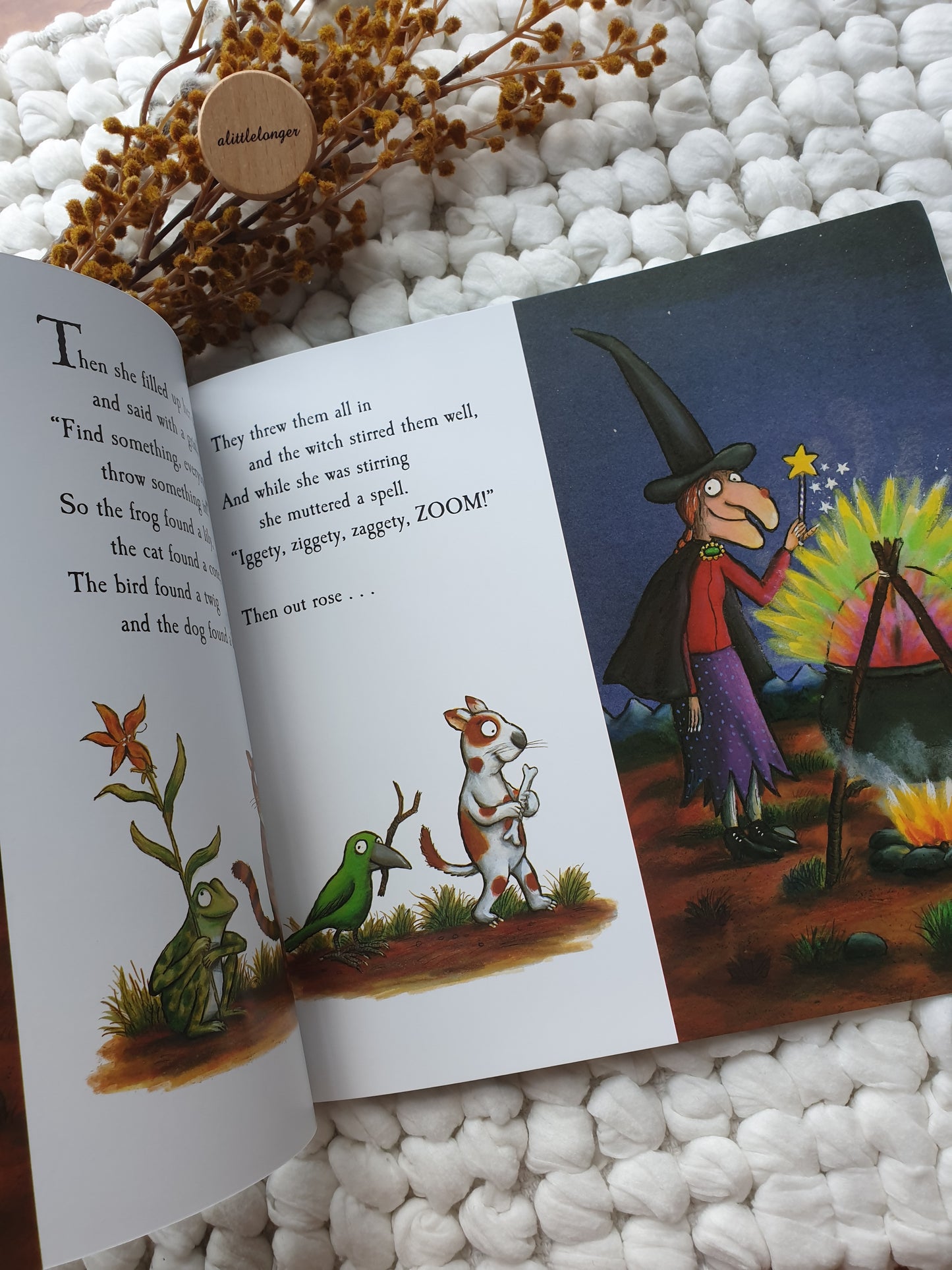 Room on the Broom by Julia Donaldson