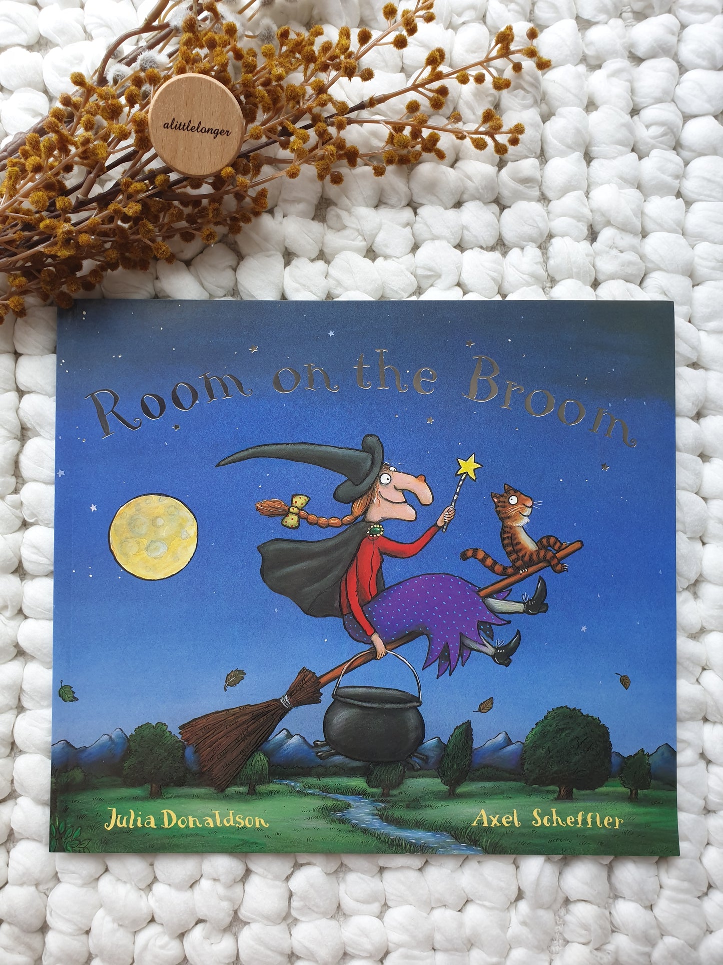 Room on the Broom by Julia Donaldson