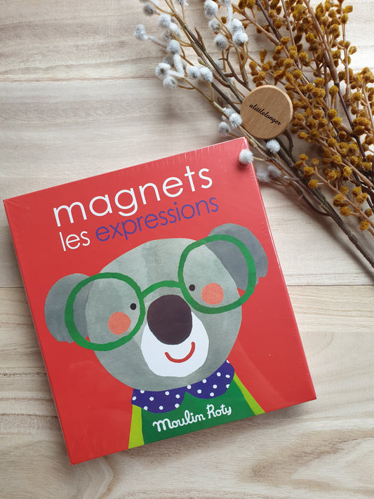 Les Popipop Magnetic Game Expressions