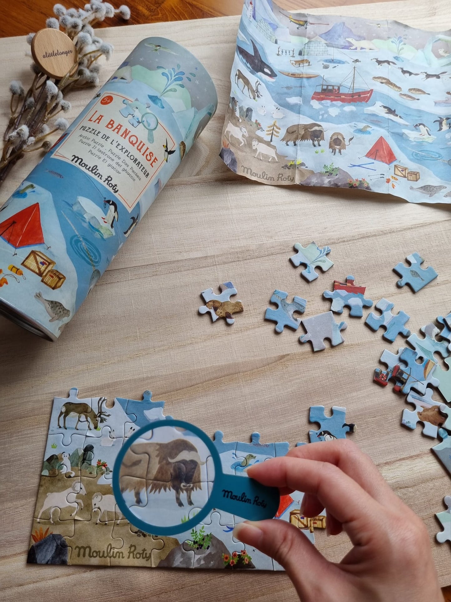 Les Grands Explorateurs 96pc Puzzle - Arctic